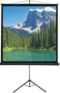 îñê çöåáä ìî÷øï 244X244 ñ"î T244