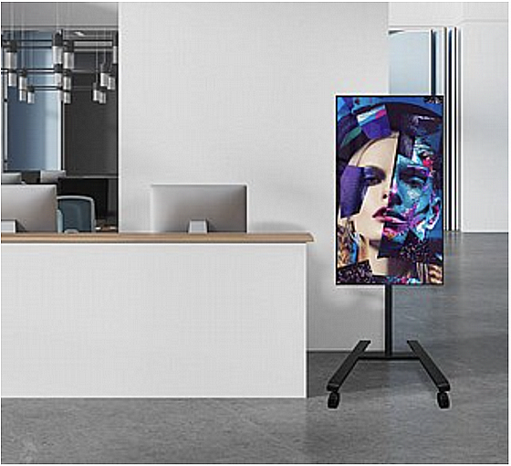 ���� ����� ���� �� B-BTECH BT7504