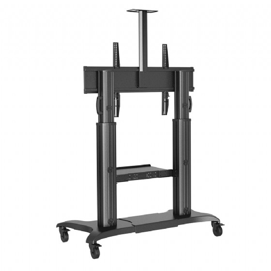 CF100 ���� ���� ����� ��� �� "100