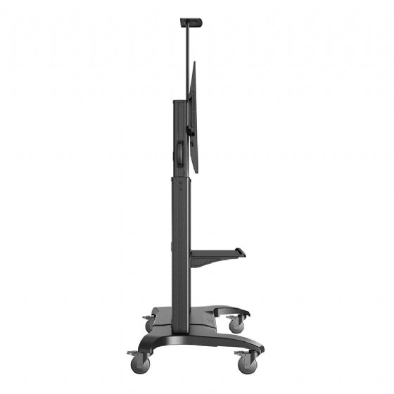 CF100 ���� ���� ����� ��� �� "100