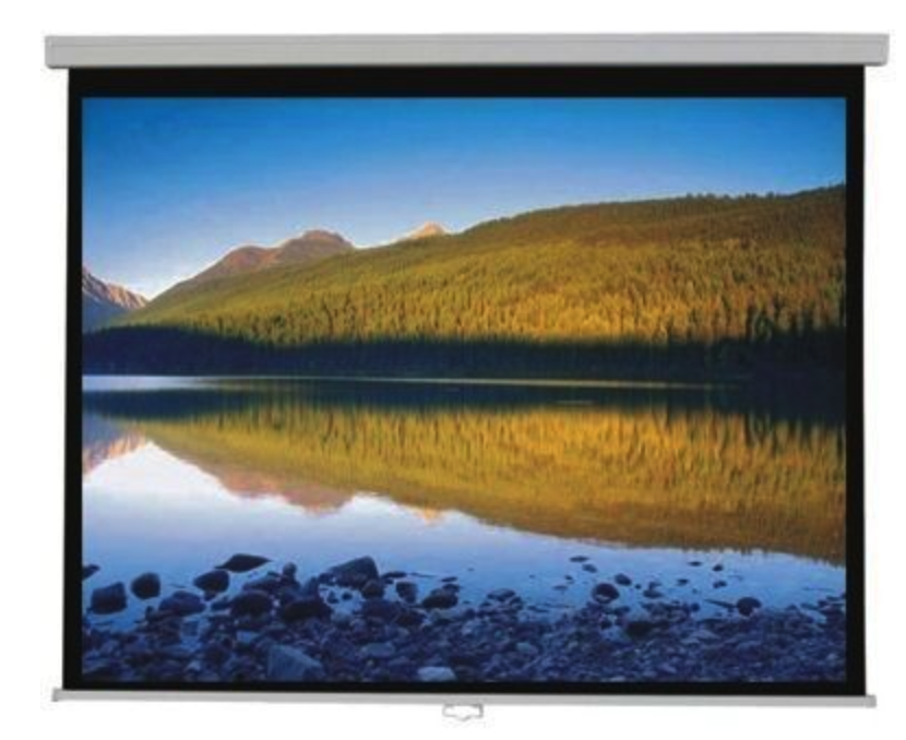 ���� �����